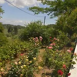 Georgia Apartments & Studios Corfu