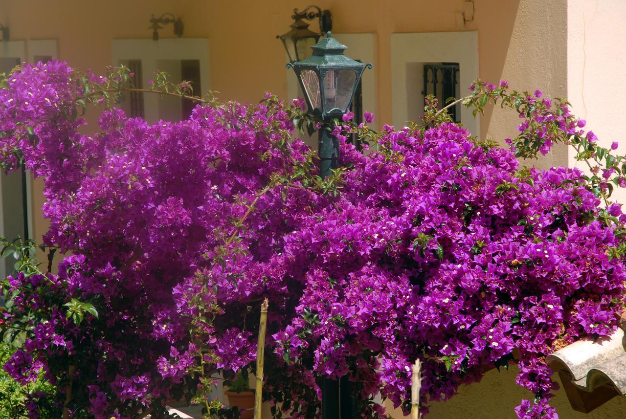 Appartement Georgia & Corfu