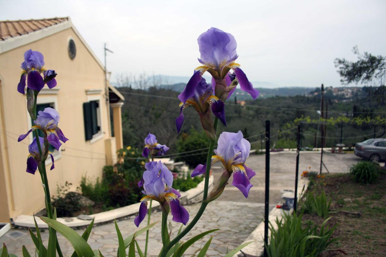 Georgia & Corfu