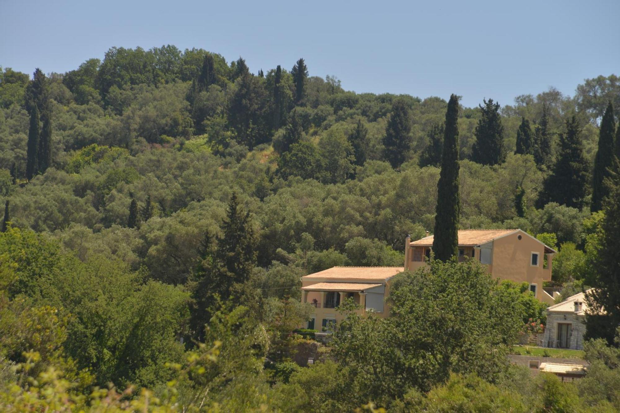 Georgia Apartments & Studios Corfu *